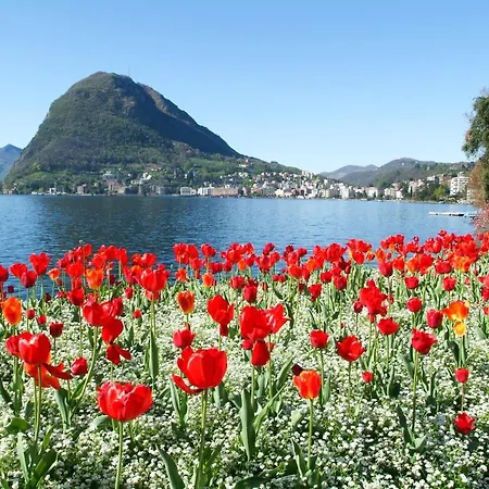 Appartamento Piccola Grecia 6 Lugano